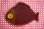 画像1: ドイツ◆可愛い魚の形のコインケース（小銭入れ） (1)