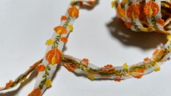 画像1: 【164cm】おしゃれ女子のビタミンフラワー装飾チロル