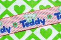 怪しげなTeddy