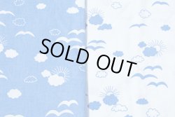 画像1: お空のファブリック２色セット