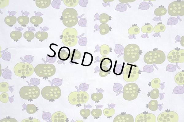 画像3: 病的（？）リンゴ（はぎれ）