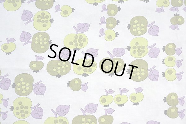 画像4: 病的（？）リンゴ（はぎれ）