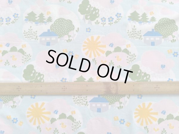 画像2: DDR★不思議な世界（青い家）はぎれ