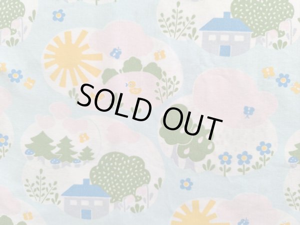 画像1: DDR★不思議な世界（青い家）はぎれ