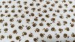 画像1: 70's★ミニミニ茶色リンゴ♪ピローケース