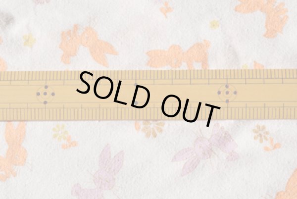 画像2: チェコのウサギ