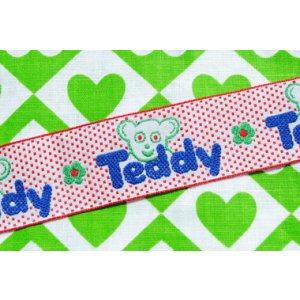 画像: 怪しげなTeddy