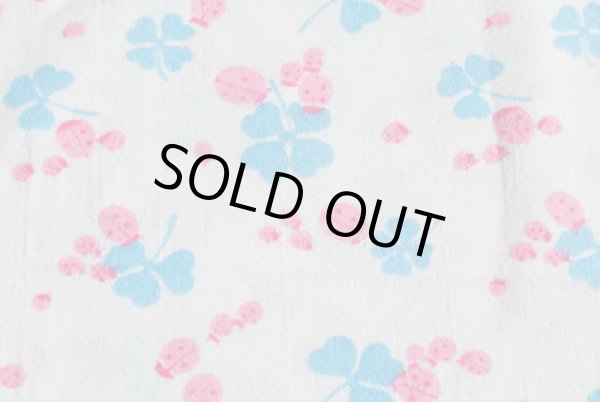 画像1: ほんわか♪テントウムシとクローバー