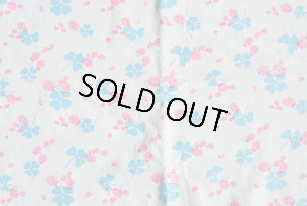 画像2: ほんわか♪テントウムシとクローバー