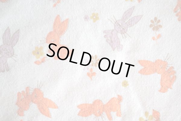 画像3: チェコのウサギ