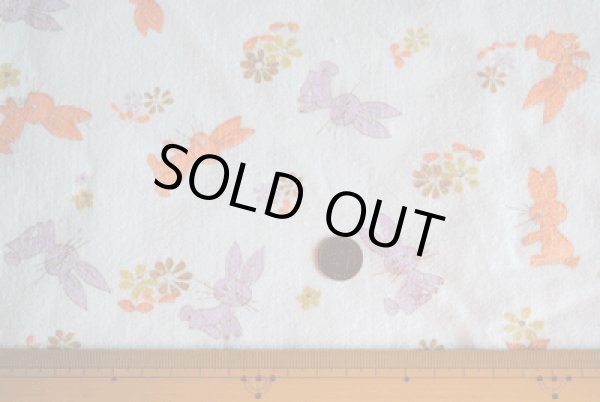 画像4: チェコのウサギ