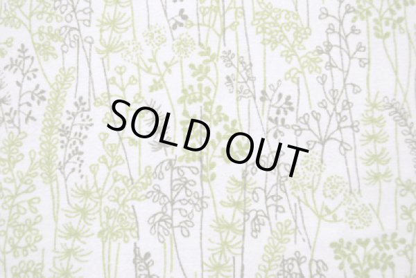 画像1: 庭のミドリたち