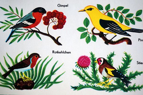 画像1: 旧東ドイツ時代のデカール（４種類の鳥）